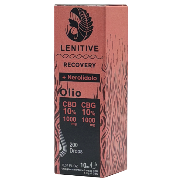 Recovery 10% - immagine 2